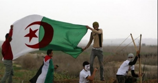 الجزائر تدعو الأمم المتحدة لحماية الفلسطينيين