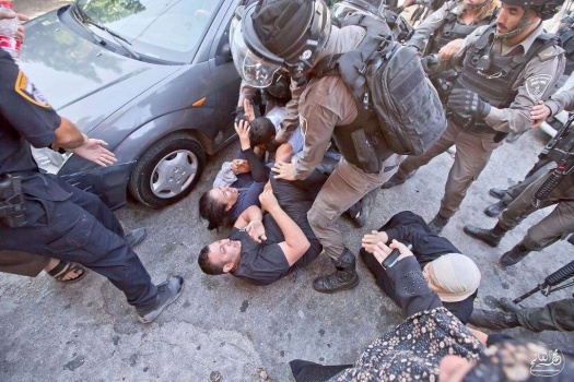 فيديو : هكذا اعتدى جنود الاحتلال على النسوة في سلوان بالقدس المحتلة خلال عملية هدم منشآت