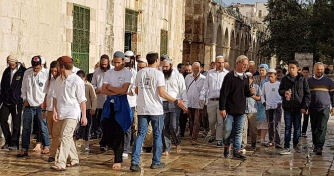 96 إسرائيليًّا يقتحمون المسجد الأقصى