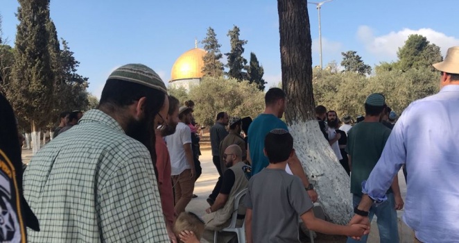 عشرات المستوطنين يقتحمون الأقصى وسط حراسة مكثفة