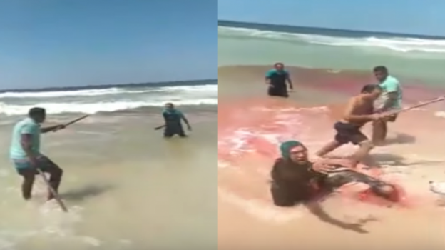 فيديو| مصري دافع عن زوجته من معاكسة رجل لها فقُتل أمامها!