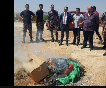 النيابة تشرف على إتلاف اشتال ماريغوانا مخدرة