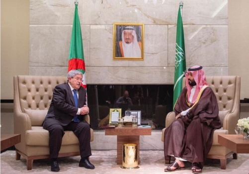 "الإنفلونزا" تعرقل لقاء بن سلمان ببوتفليقة