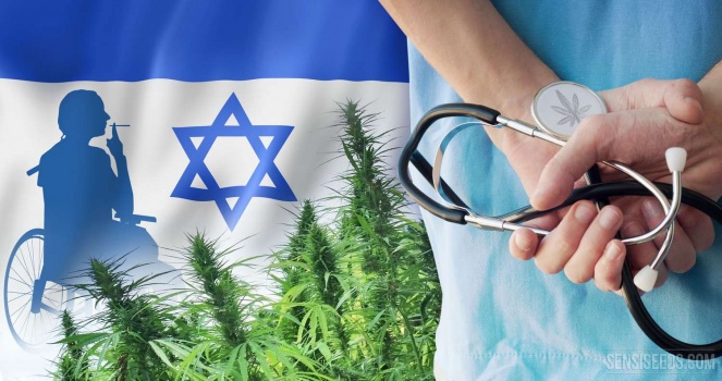 إسرائيل تسمح بتصدير مخدر الحشيش للأغراض العلاجية