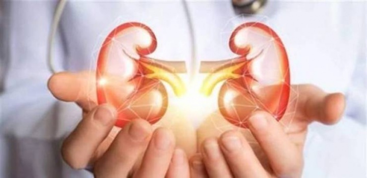 إحم كليتيك وتناول هذه الأطعمة الـ6 فهي صديقة للكلى