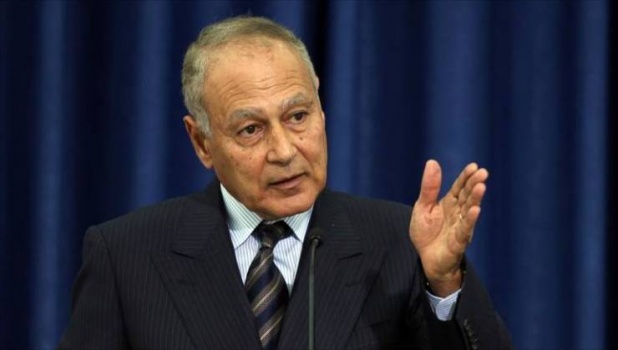 أبو الغيط: تفعيل شبكة الأمان لفلسطين ضرورة ملحة