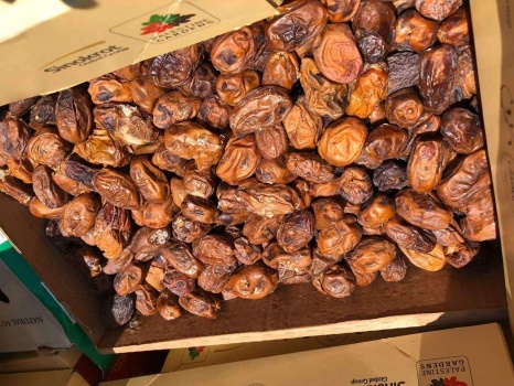 الضابطة الجمركية والأمن الوقائي يضبطان 2 طن من المواد الفاسدة والمنتهية الصلاحية في محافظة الخليل