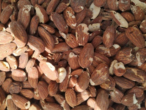 صور...الضابطة الجمركية تضبط 5 أطنان لوز  غير  صالح للاستهلاك الآدمي في محافظة جنين