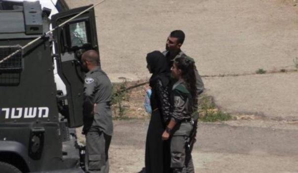 الاحتلال يعتقل فتاة بالخليل بزعم حيازتها سكينًا