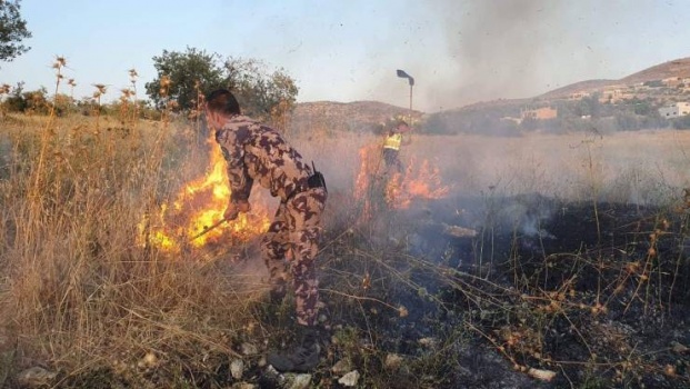 إخماد حريق التهم 120 شجرة زيتون جنوب جنين