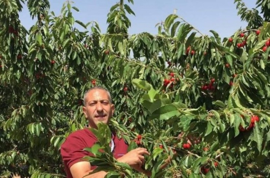 نقل الأسير سامر العربيد للمستشفى بعد تعذيبه بوحشية