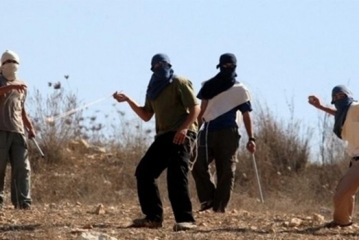 جنين:مستوطنون يهاجمون موظفي زراعة قباطية