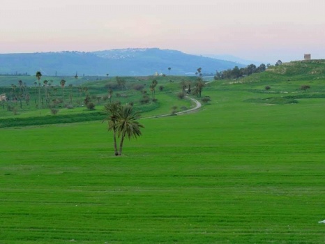الأردن ينفي تجديد أو تمديد استعمال منطقتي الباقورة والغمر