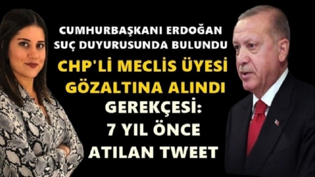 أردوغان يقاضي مراهقة تركية انتقدته قبل 7 سنوات