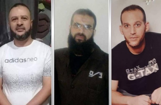 3 أسرى من محافظة جنين يدخلون أعواماً جديدة في سجون الإحتلال
