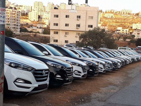 خلال 3 شهور.. مبيعات ألف معرض للسيارات 1700 مركبة فقط