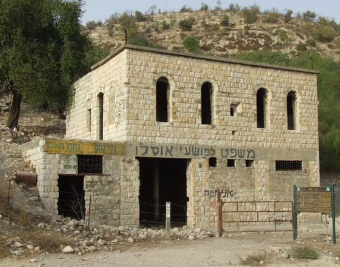 في مدينة صفد.. المقبرة الأخيرة تتعرض للموت التدريجي ومساع للاستيلاء على مسجد عين الزيتون- (صور)