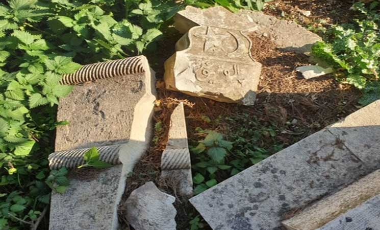 في مدينة صفد.. المقبرة الأخيرة تتعرض للموت التدريجي ومساع للاستيلاء على مسجد عين الزيتون- (صور)