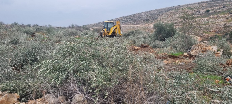 اعتداء يُعد من أوسع الهجمات التي تطال القطاع الزراعي...الاحتلال يقتلع 8 آلاف شجرة زيتون ويدمّر أكثر من 30 بئرًا زراعيًا في سيلة الحارثية غرب جنين