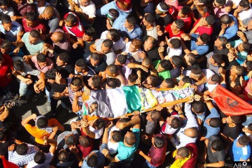 12048768_910479342359623_2048387462_n