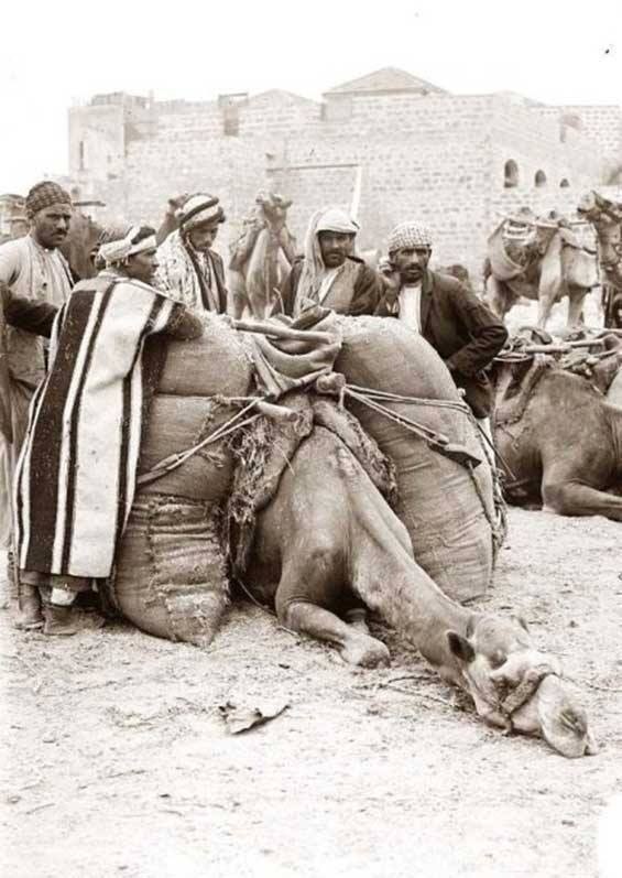 صور عن فلسطين ... لا تريدك اسرائيل ان تراها