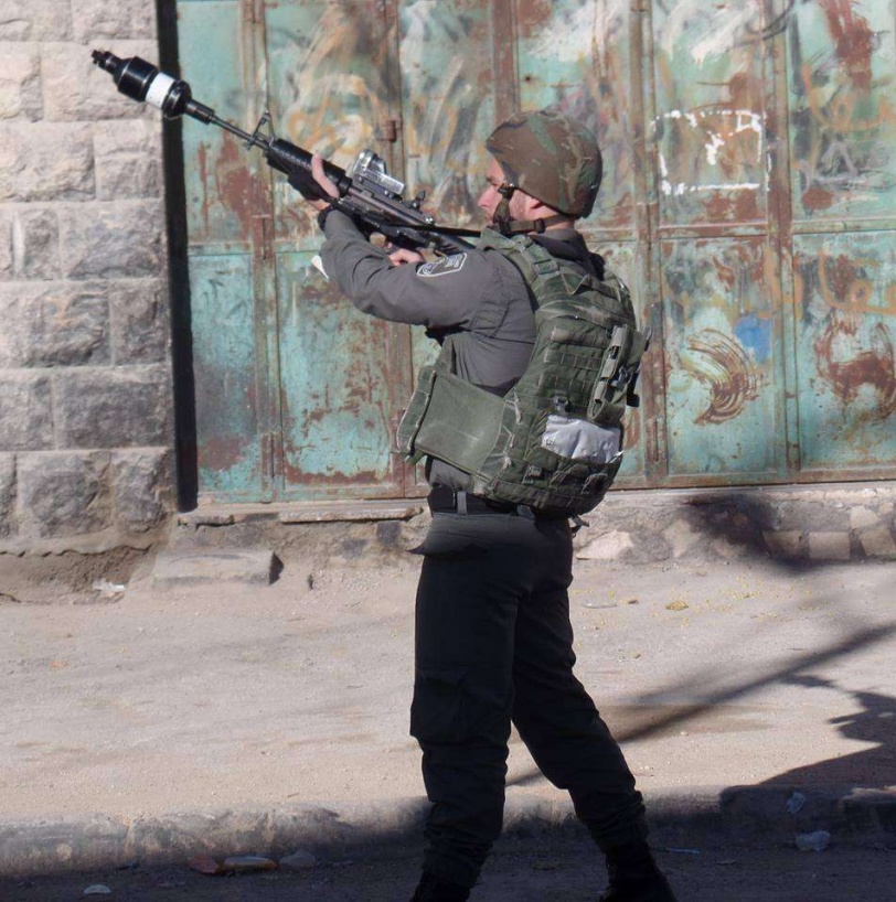 13010909_1148746418535591_3927136500197808240_n