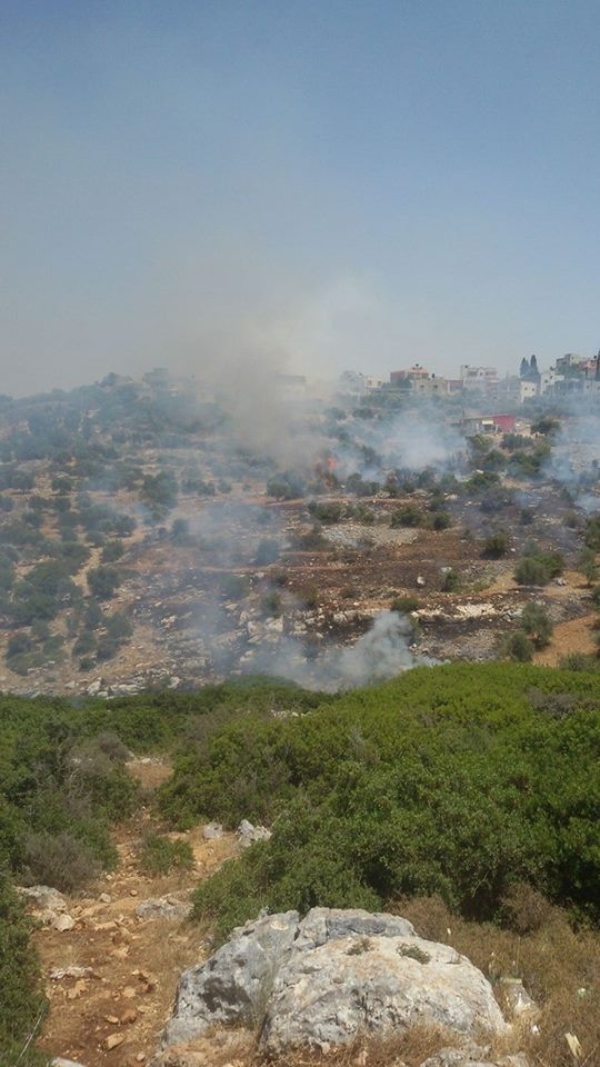 13454075_1712348202365021_2024593389_n
