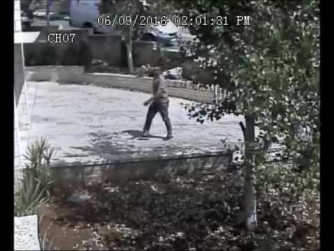 شاهد بالفيديو : سرقة سيارة في رام الله - قرب مدرسة عزيز شاهين