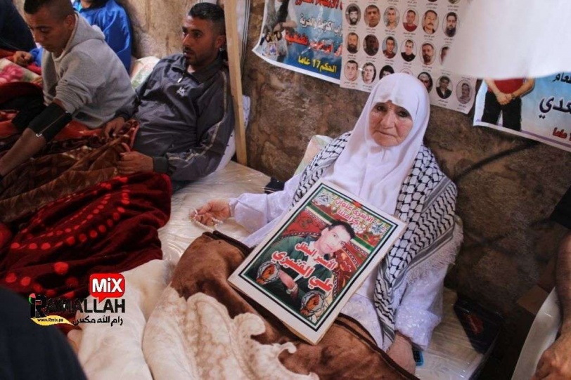 لليوم الثالث عشر...تواصل الفعاليات التضامنية في جنين تضامنا مع الأسرى المضربين عن الطعام