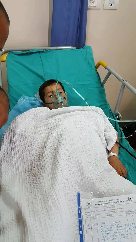 ماذا قالت لجنة السلامة العامة في قلقيلية بخصوص حادثة التهام دب ليد طفل في حديقة الحيوانات