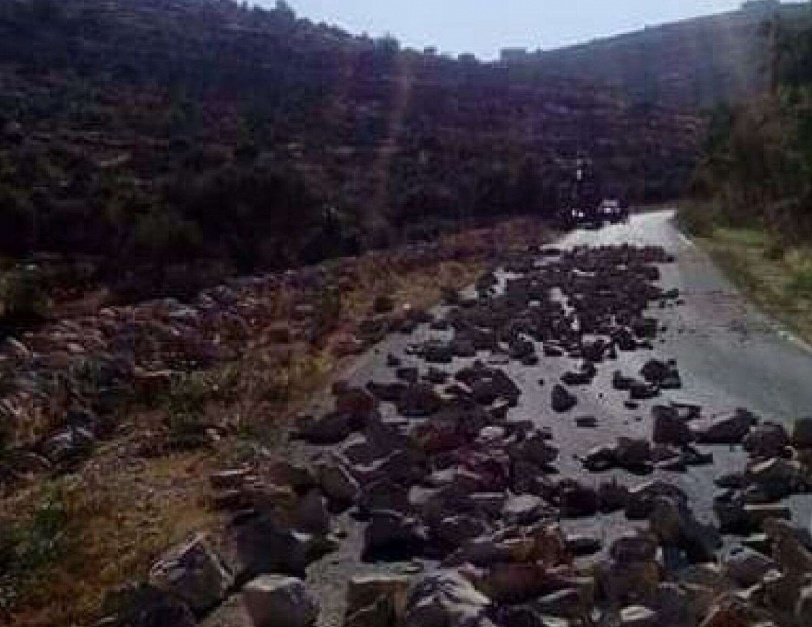 الطفلة الاردنية 'ايمان بيشه' تفوز بلقب الموسم الخامس من 'ارب غوت تالنت'