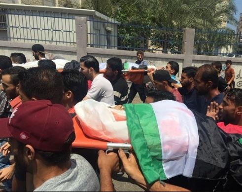 الشرطة تضبط قات مخدر لاول مرة في فلسطين