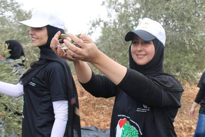 جنين: إنطلاق الحملة الوطنية السنوية لقطف ثمار الزيتون تحت شعار ( باقون كشجر الزيتون )