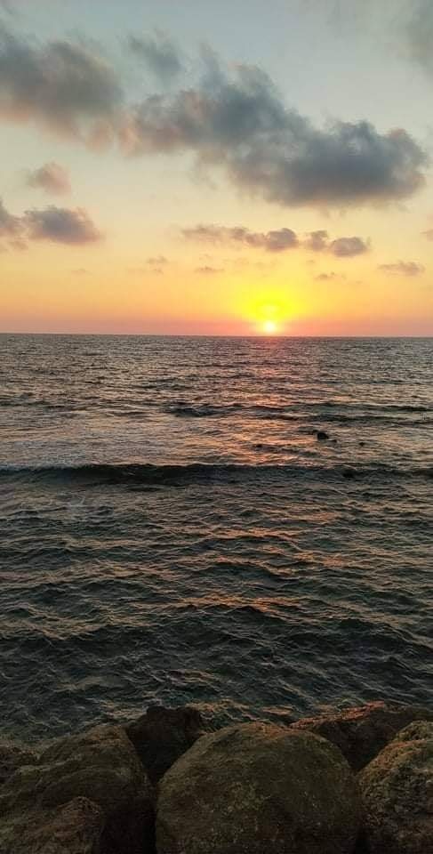 جنين: الدفاع المدني يخمد حريق أكثر من 100 شجرة زيتون و400 اطار كاوتشوك